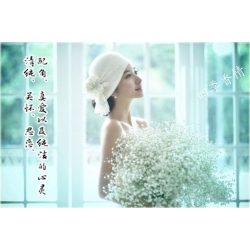 Nasiona Gipsówka mix szt.10 Nxx62